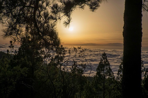 Tenerife